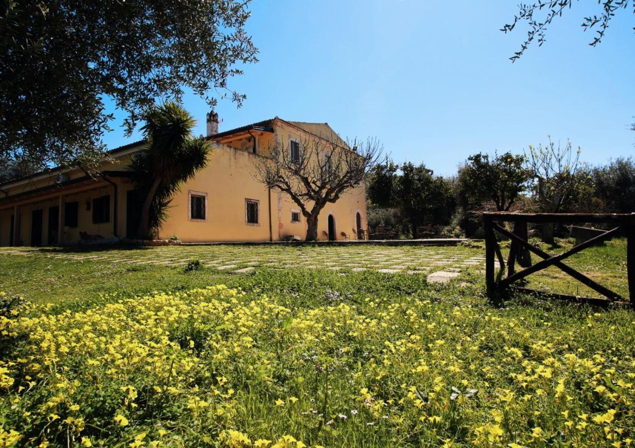 Masseria Procacci Ischitella Eksteriør bilde