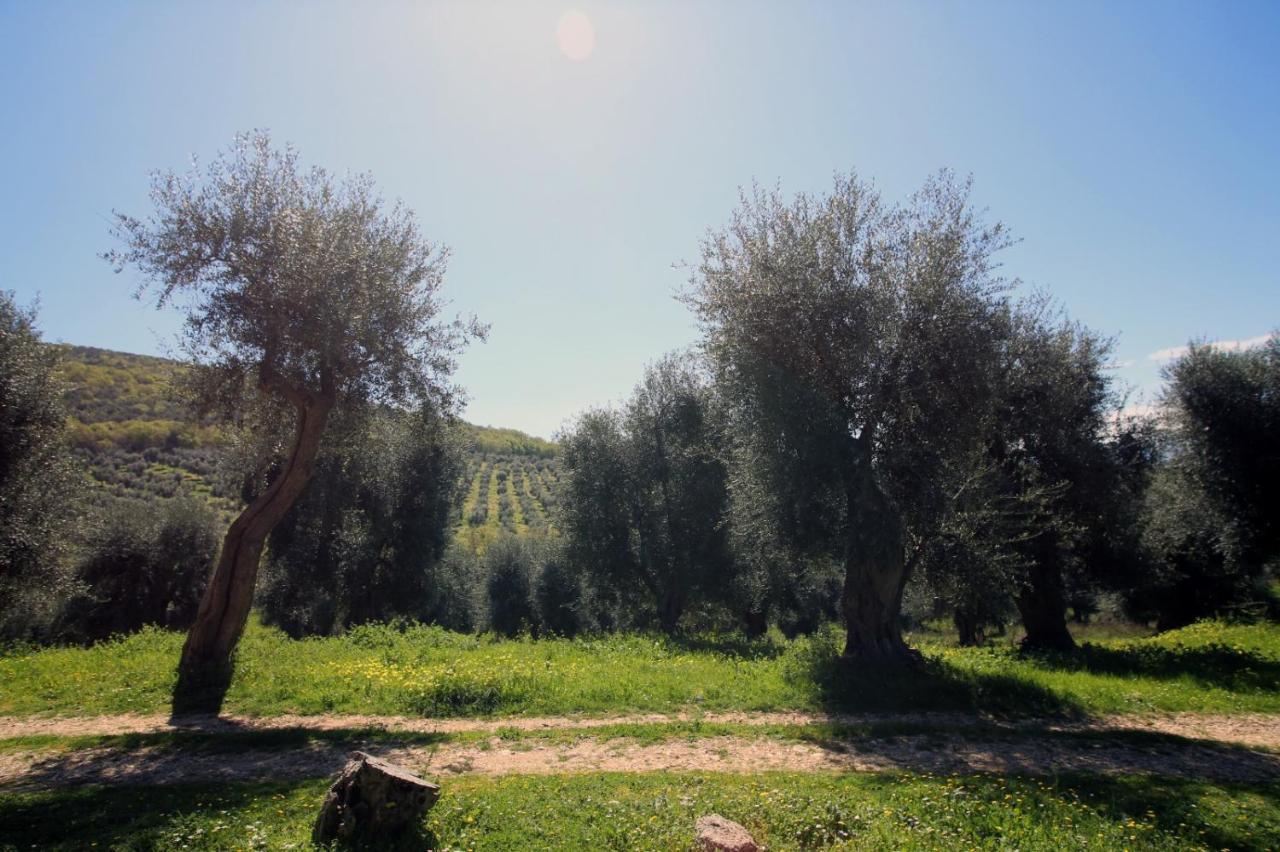 Masseria Procacci Ischitella Eksteriør bilde