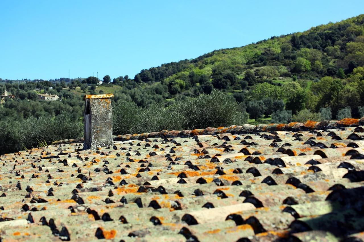Masseria Procacci Ischitella Eksteriør bilde