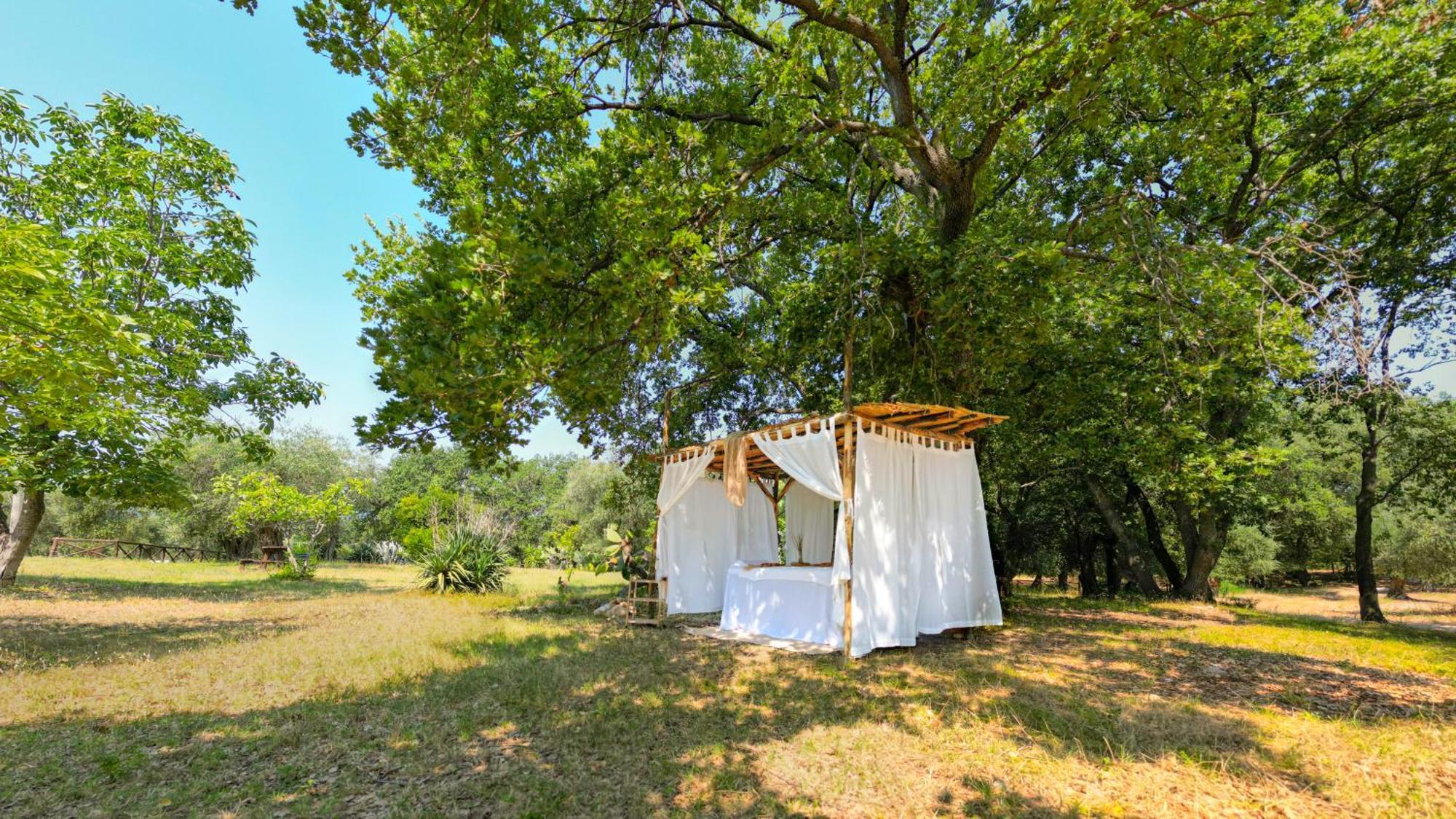 Masseria Procacci Ischitella Eksteriør bilde